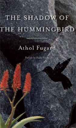 The shadow of the hummingbird