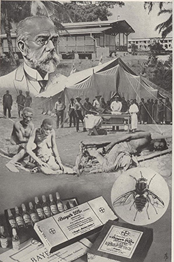 poster depicting the fight against sleeping sickness in Africa with the drug Bayer 205 (Source: Das Volksbuch unserer Kolonien, Wikimedia Commons)