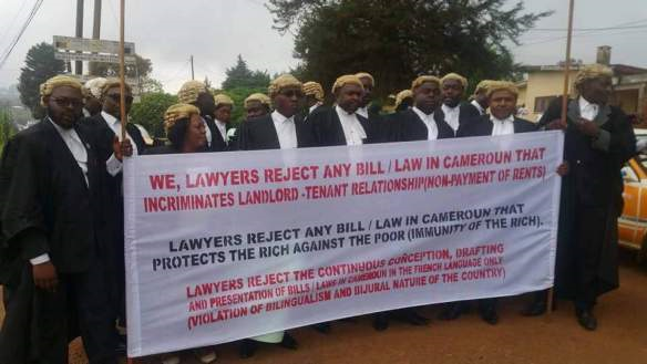 Lawyers Cameroon