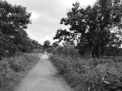 Road in Mwinilunga